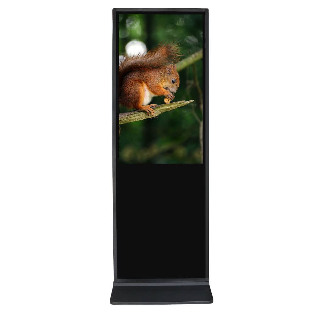 Double Sided Digital Signage Kiosk